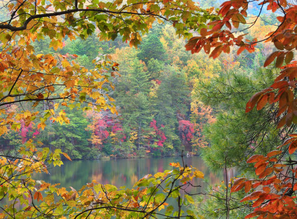 istock Focus Stacked Frame of Fall Leaves Framing a Colorful Lake Shore 1068378554