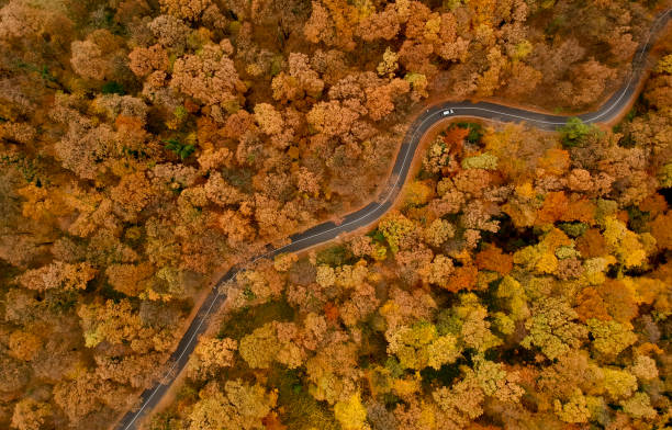 istock Aerial view at the road in autumn forest 1068386932
