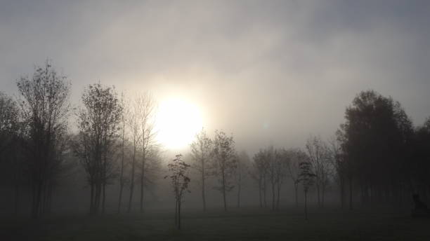 Sun in mist (Солнце в тумане) stock photo