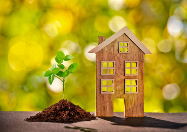 istock Wooden house with small plant 1068391214