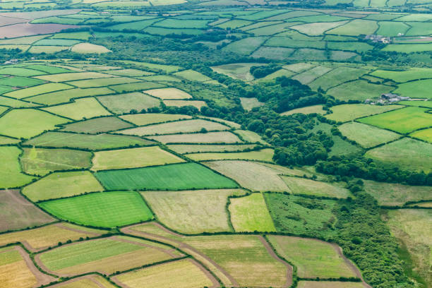 istock Aerial views of Patchwork rural fields near Penzance, Cornwall on a sunny June day. 1068413084
