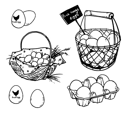 Set of farmer’s eggs drawings, vector illustration