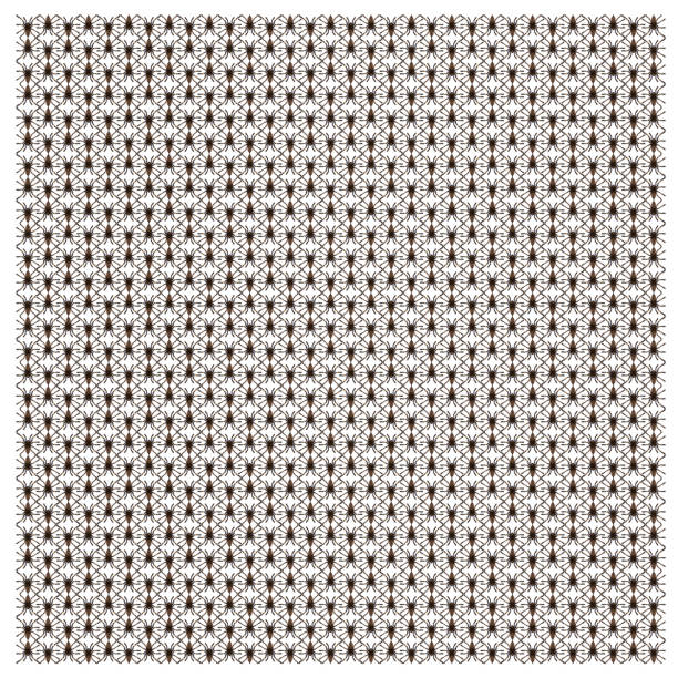 Tarantula spider, Poecilotheria Metallica, in repeated pattern, in front of white background