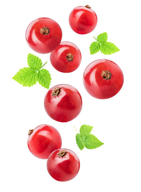 istock Flying red currants isolated on white background. Clipping path 1068422868