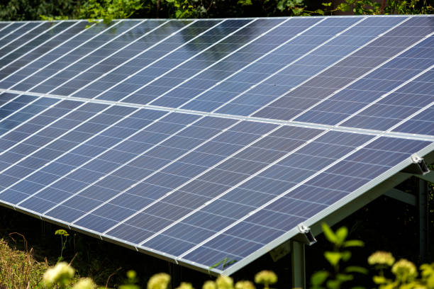 istock Close-up surface of lit by sun modern saving efficient stand -alone blue shiny solar photo voltaic panels system producing renewable clean energy on green grass and trees foliage background. 1068424682