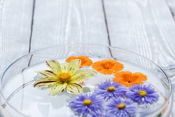 istock beautiful flowers in the water 1068425080