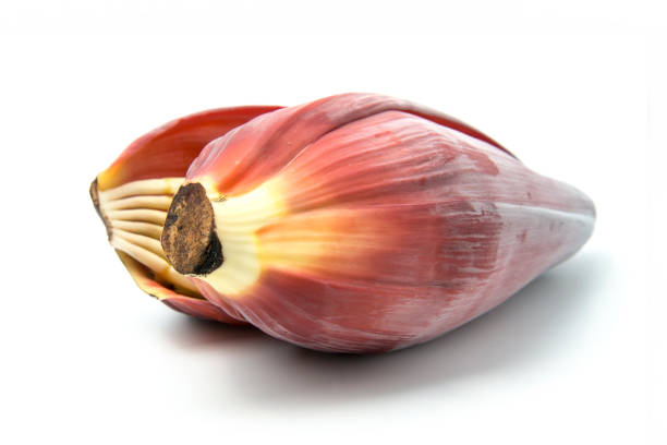 istock Banana blossom isolated on a white background. 1068433750