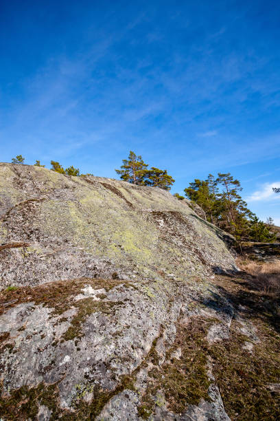 istock rocky coastline in Finland with few pine trees 1068439248