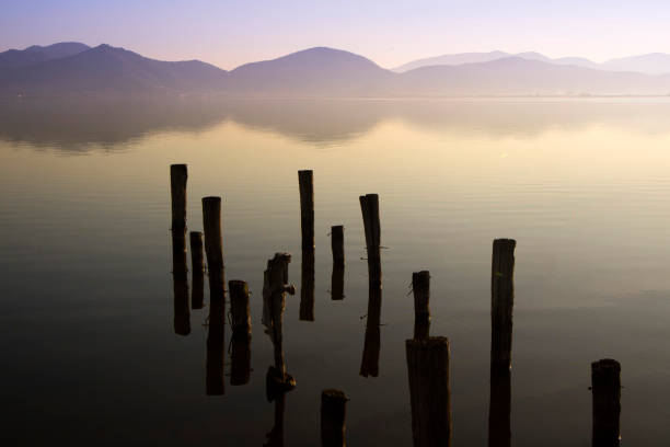istock Lake Massaciuccoli in Versilia 1068439874