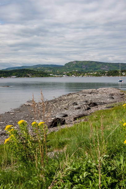 istock rocky coastline in Norway with few pine trees 1068442722