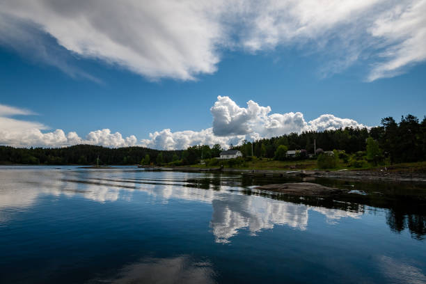 rocky coastline in Norway with few pine trees