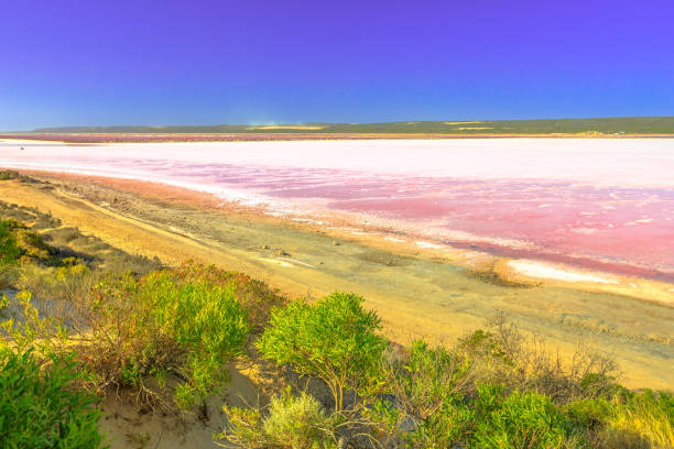 istock Pink Lake aerial 1068443680