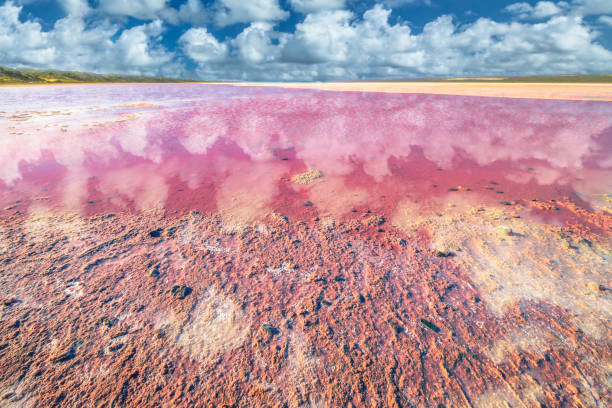 Pink Lake Western Australia