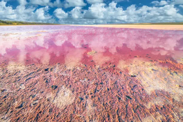 Photo of Pink Lake Western Australia