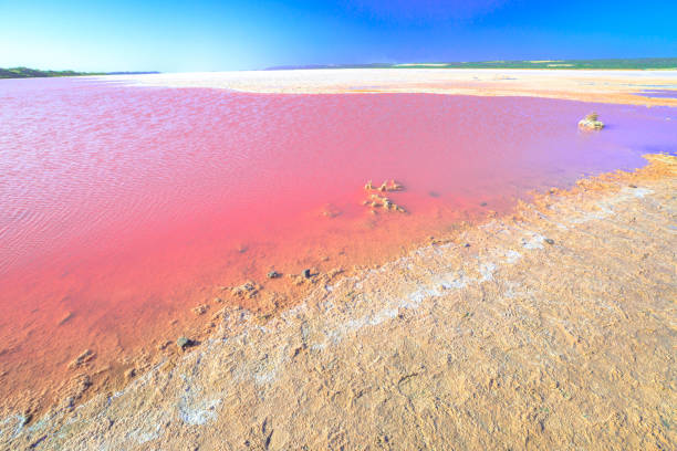 istock Pink Salt Lake Australia 1068443754