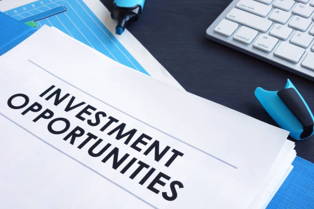 istock Investment opportunities report in the blue folder. 1068445384