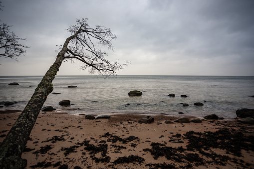 rocky coastline in Latvia with flow water in the sea and large rocks in late autumn. dull colors