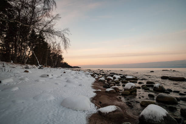 istock wild forest in winter with high level of snow 1068451914