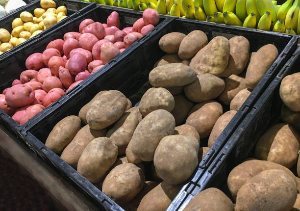 istock Pleny of potatoes 1068452740