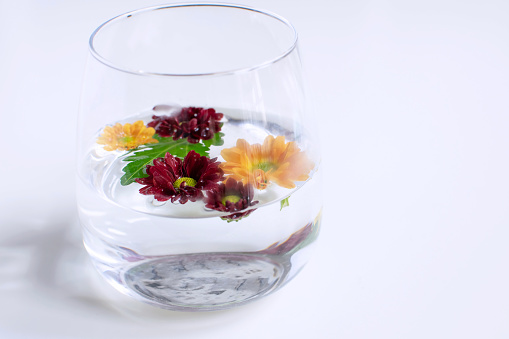Spa salon decoration, aromatherapy - Moms flowers floating in transparent glass of water, copy space, white background