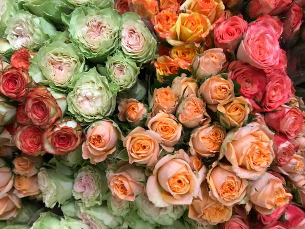 istock Colorful Roses at Market 1068460854
