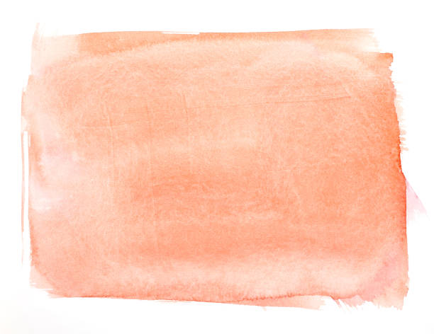 istock Watercolor painting on white paper 1068463460