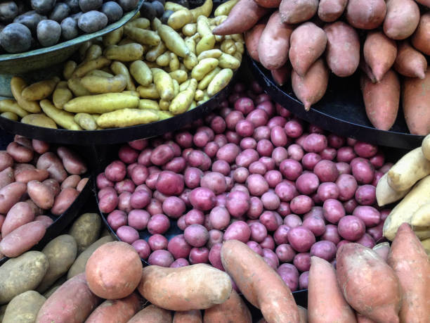 Variety of potatoes at a large retail market.