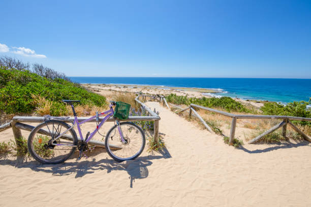 istock bicycle parked next to beach access in sand walkway 1068467738