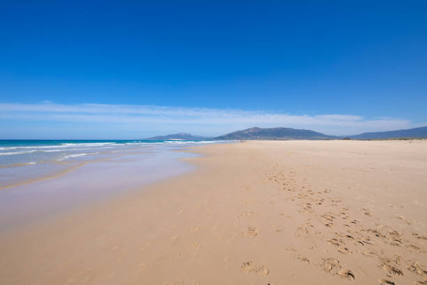 istock seashore in sandy and lonely beach Los Lances in Tarifa 1068468006