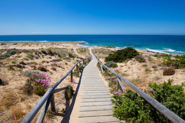 istock wooden walkway with railing down to the coast 1068468130