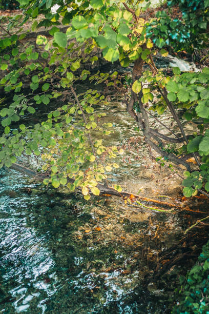 istock Beautiful evening views of the fast mountain river 1068470432