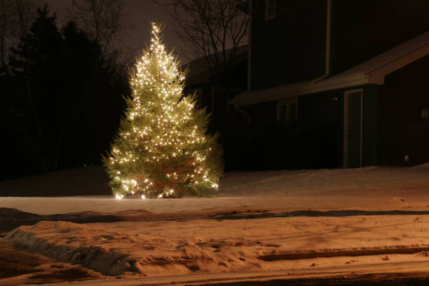 istock Winter holidays outdoor decoration background. 1068473840