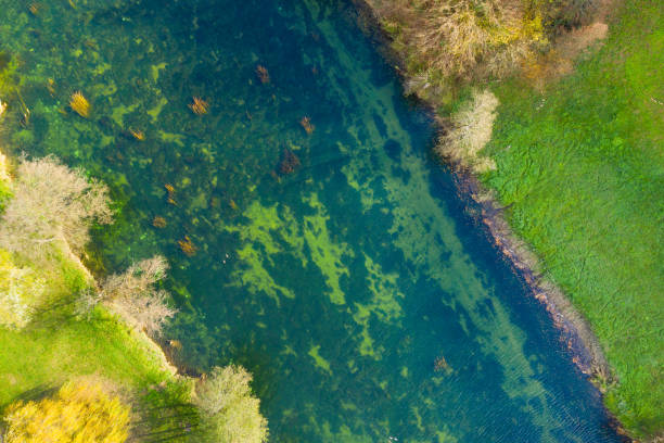 istock Croatian nature landscape, Dobra river 1068475792