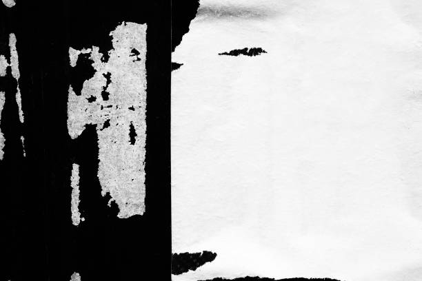 istock Blank white black old ripped torn paper crumpled creased posters grunge textures backdrop backgrounds placard 1068475804
