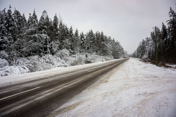 Free Stock Photo of Ice-Covered Tree Alongside Road | Download Free ...