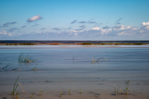 istock empty sea beach in spring with some birds and cargo ships on the horizon 1068477406