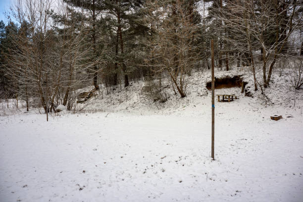 wild forest in winter with high level of snow at late evening before sunset