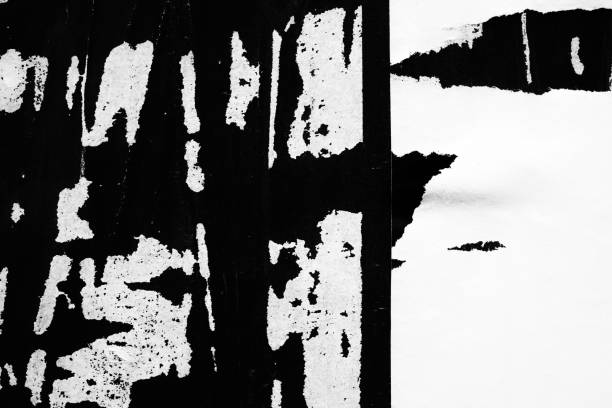 istock Blank white black old ripped torn paper crumpled creased posters grunge textures backdrop backgrounds placard 1068477566