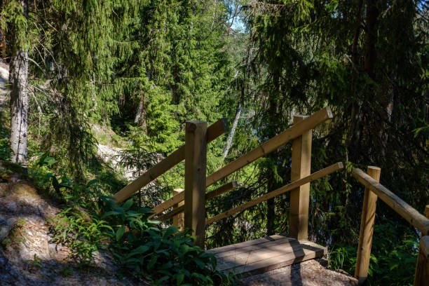 istock wooden and composite material foot bridge over water 1068477616
