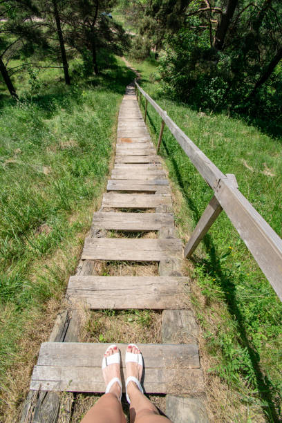 istock wooden and composite material foot bridge over water 1068477620