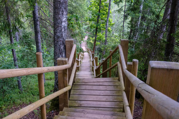 istock wooden and composite material foot bridge over water 1068477678