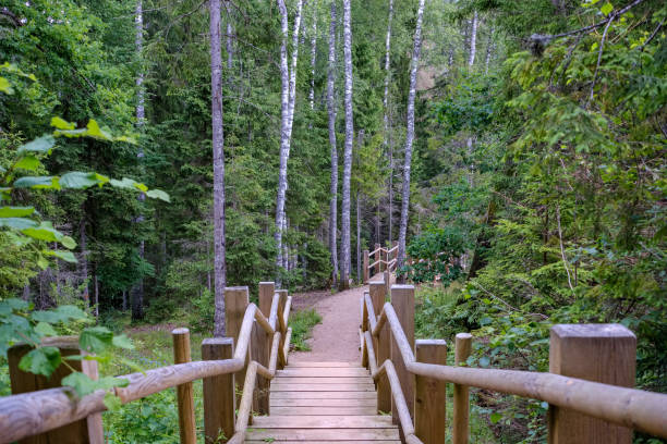 istock wooden and composite material foot bridge over water 1068477680