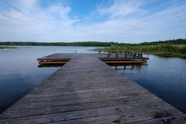 istock wooden and composite material foot bridge over water 1068477712