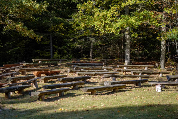 istock old wooden bench by the water in forest 1068477762