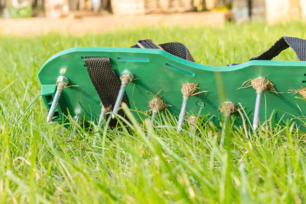 Lawn aerating shoes with metal spikes lying in the grass of the garden. Lawn aerating shoes with metal spikes. Used to improve the quality of the grass growth. Closeup of the green shoe with its spikes and screws. scarification stock pictures, royalty-free photos & images