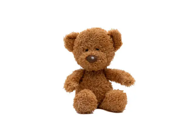 brown teddy bear isolated on white background