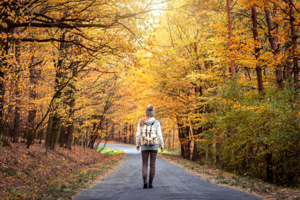 mujer con mochila andando en el camino en medio del bosque en otoño. - middle human age leaf tree fotografías e imágenes de stock