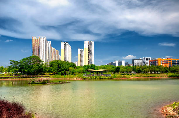 istock Futian Mangrove Ecological Park Shenzhen China 1068497776