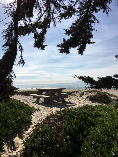 istock Through the trees to the sea 1068498826