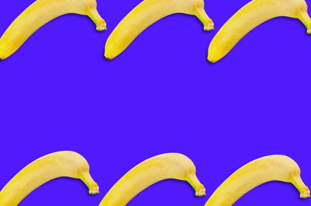 istock Two rows of fresh whole ripe bananas on blue background with copy space for your text 1068505092